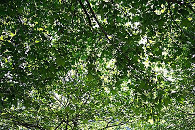 修仙卡牌游戏《弈仙牌》宣布12月6日发售 定价32元